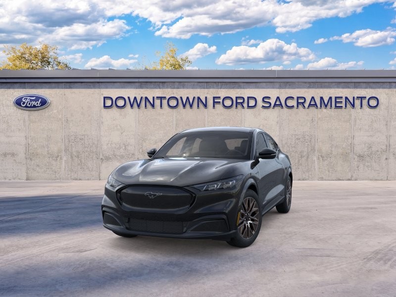New 2026 Shadow Black Ford Premium image 2