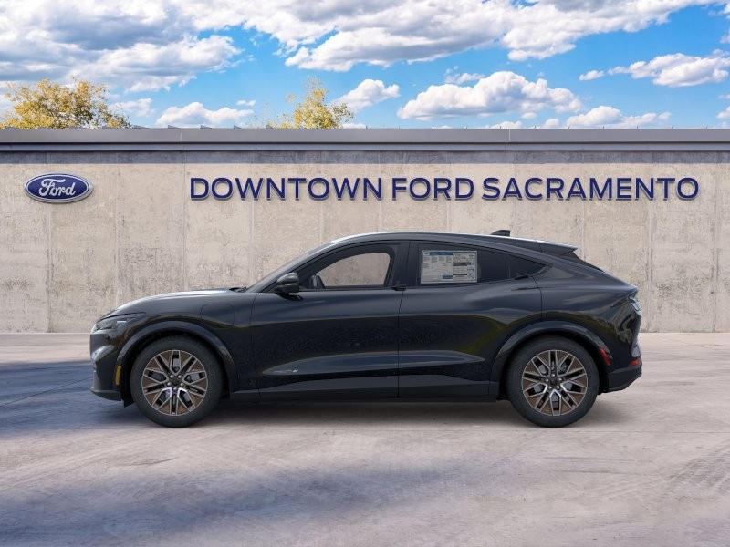 New 2026 Shadow Black Ford Premium image 3
