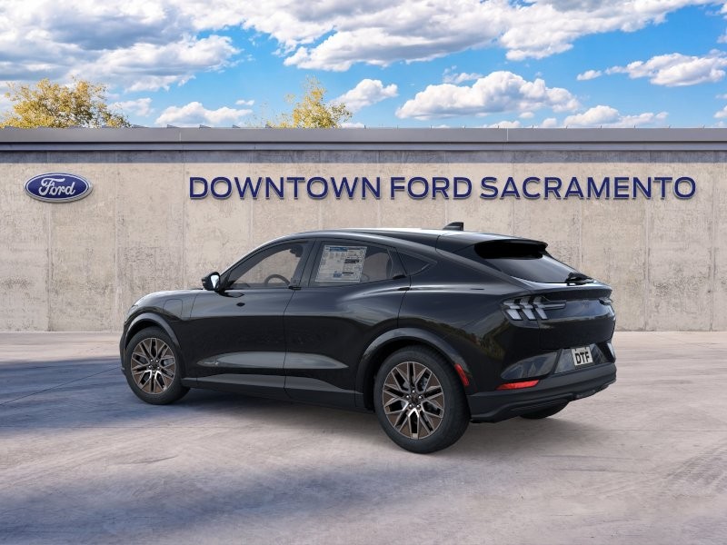 New 2026 Shadow Black Ford Premium image 4