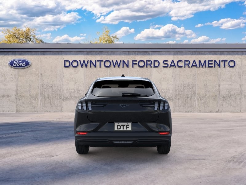 New 2026 Shadow Black Ford Premium image 5