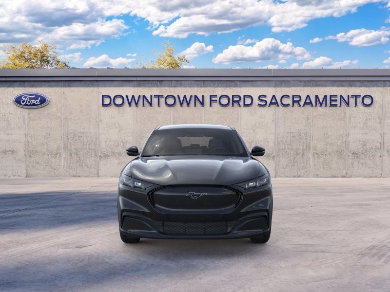 New 2026 Shadow Black Ford Premium image 6