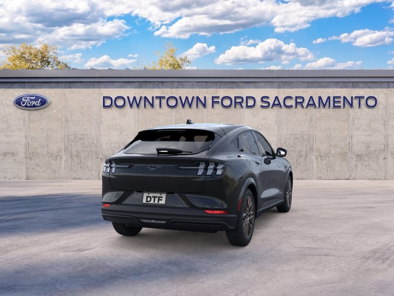 New 2026 Shadow Black Ford Premium image 8