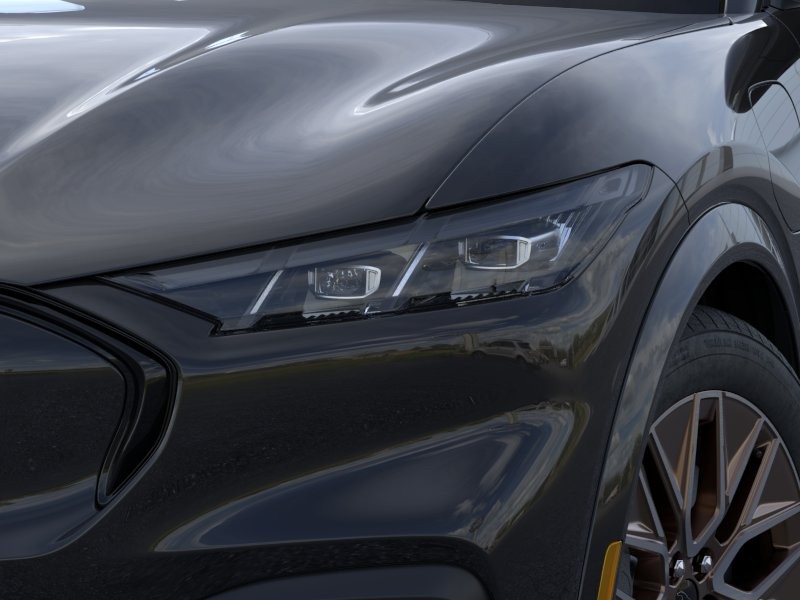 New 2026 Shadow Black Ford Premium image 18
