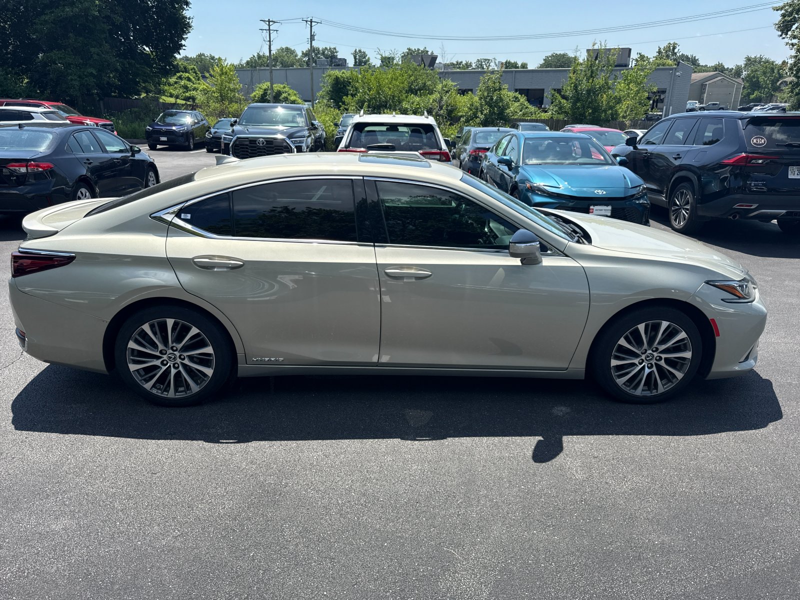 2021 Lexus ES 300h 300h's photo