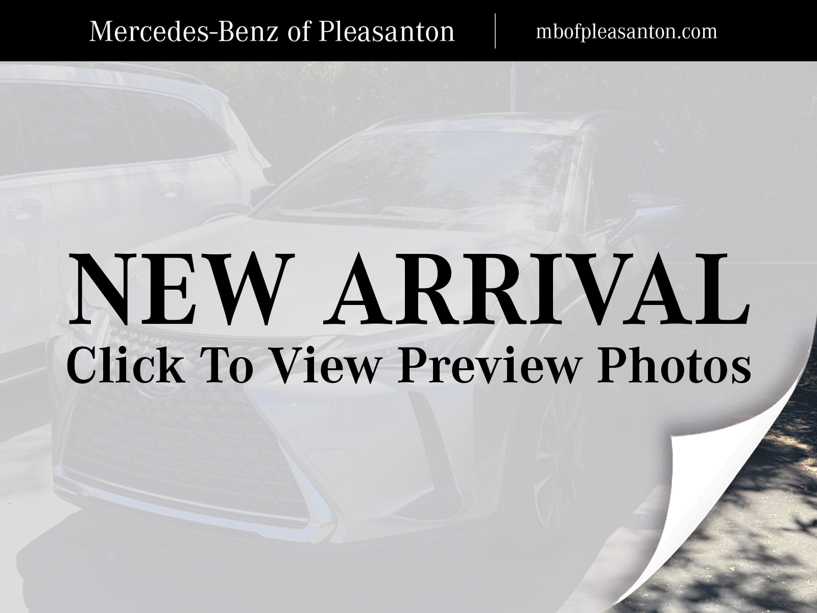 2020 Lexus UX 300h 250h AWD's photo