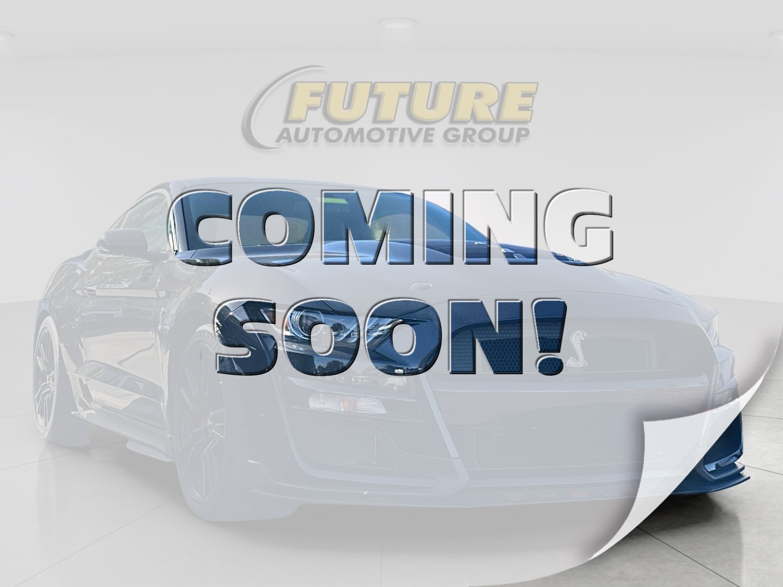 2020 Ford Mustang Shelby GT500's photo