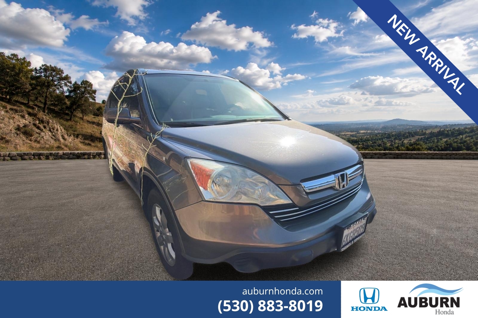 2009 Honda CR-V EX-L's photo