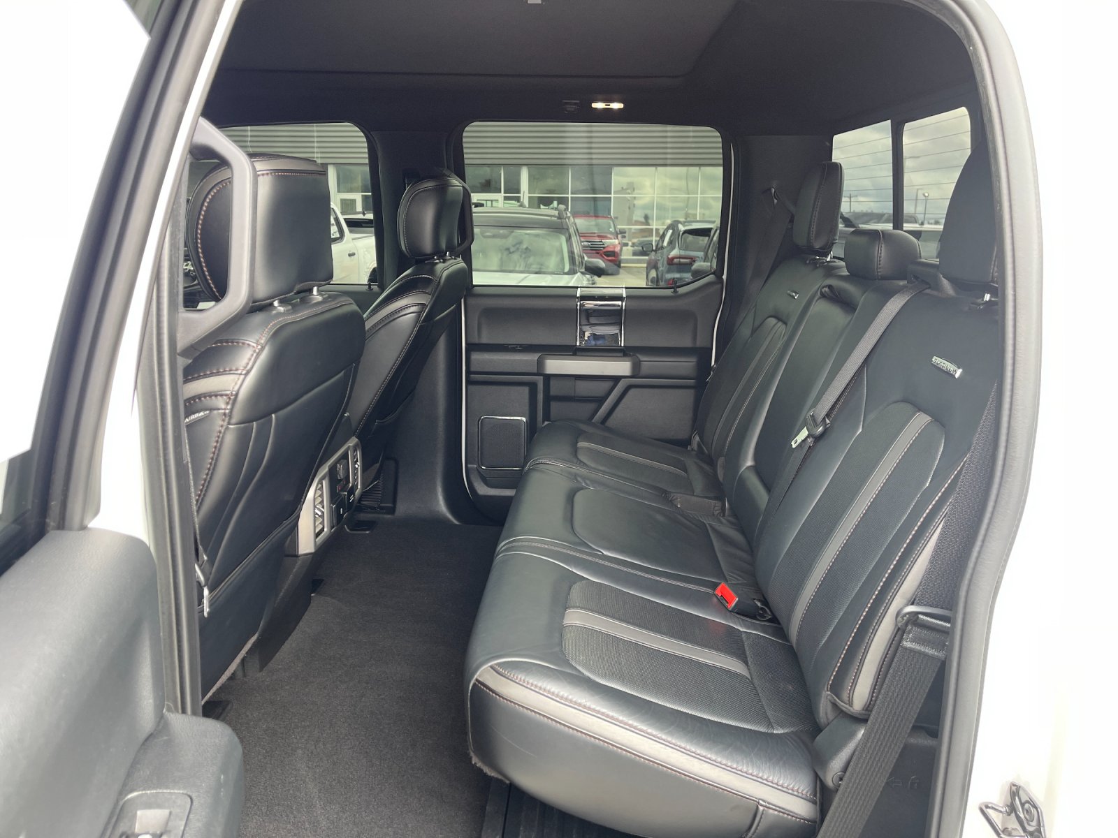 Used 2020 White Ford Platinum image 14