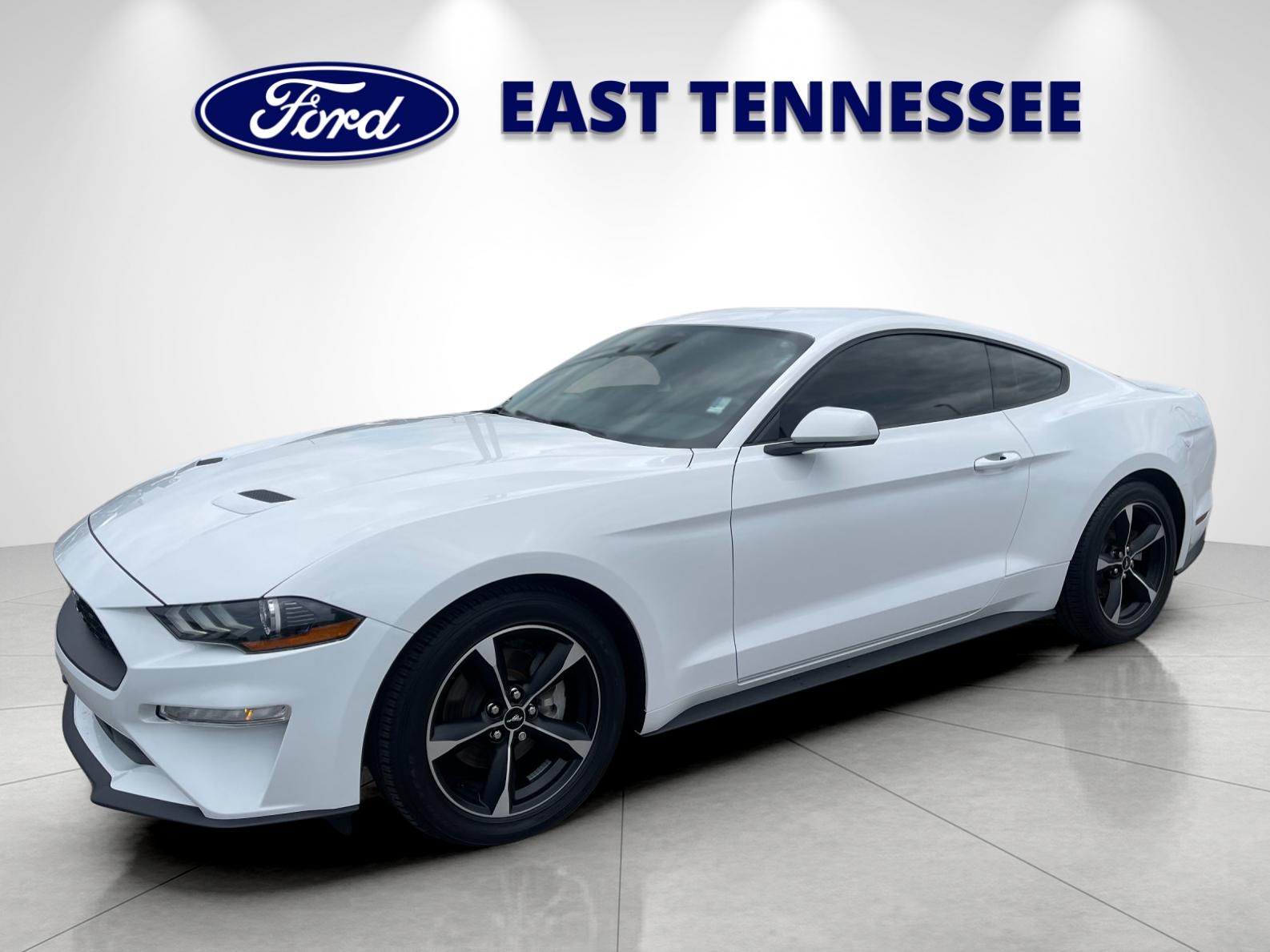 Used 2023 White Ford EcoBoost image 7