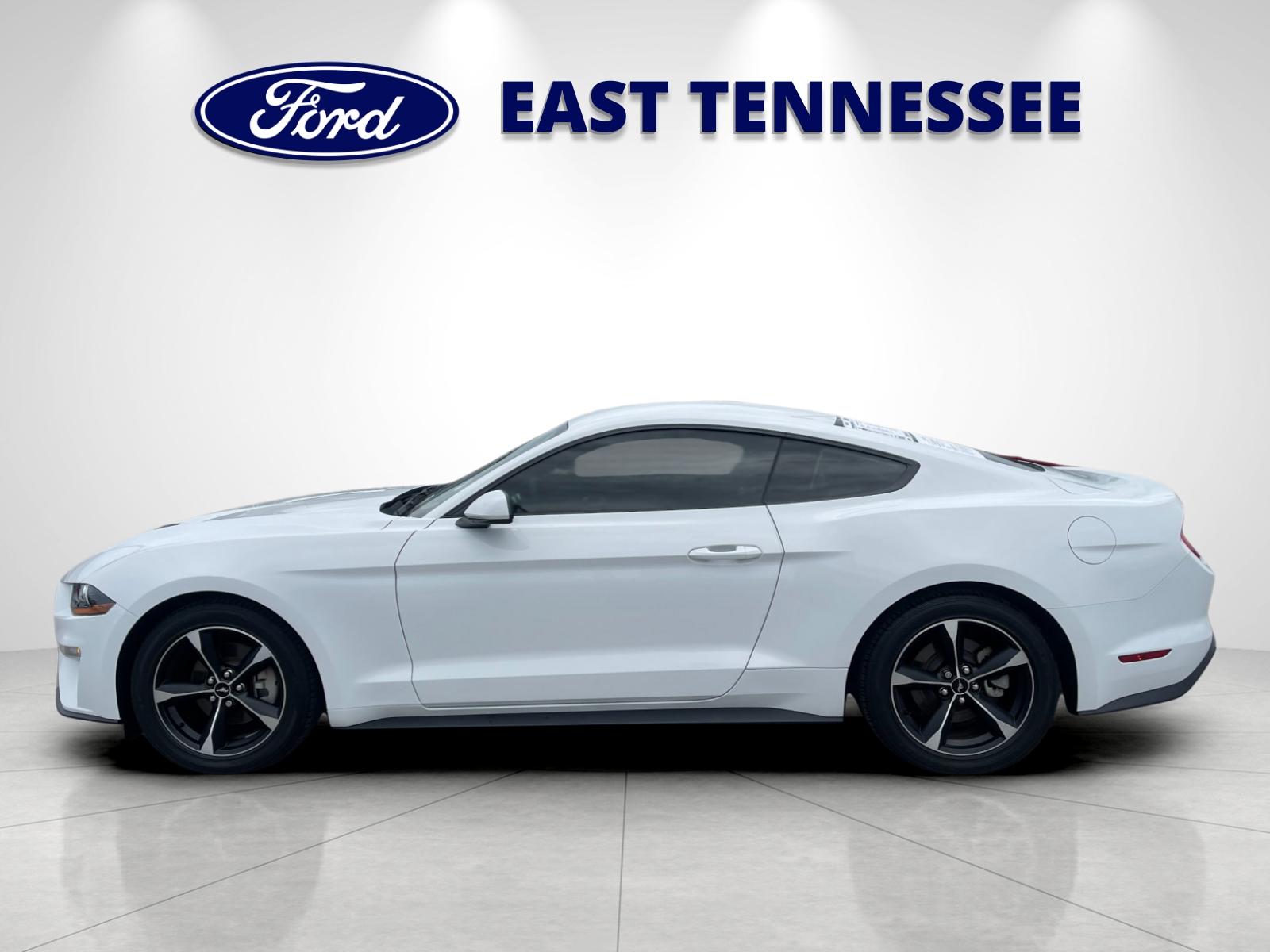 Used 2023 White Ford EcoBoost image 6