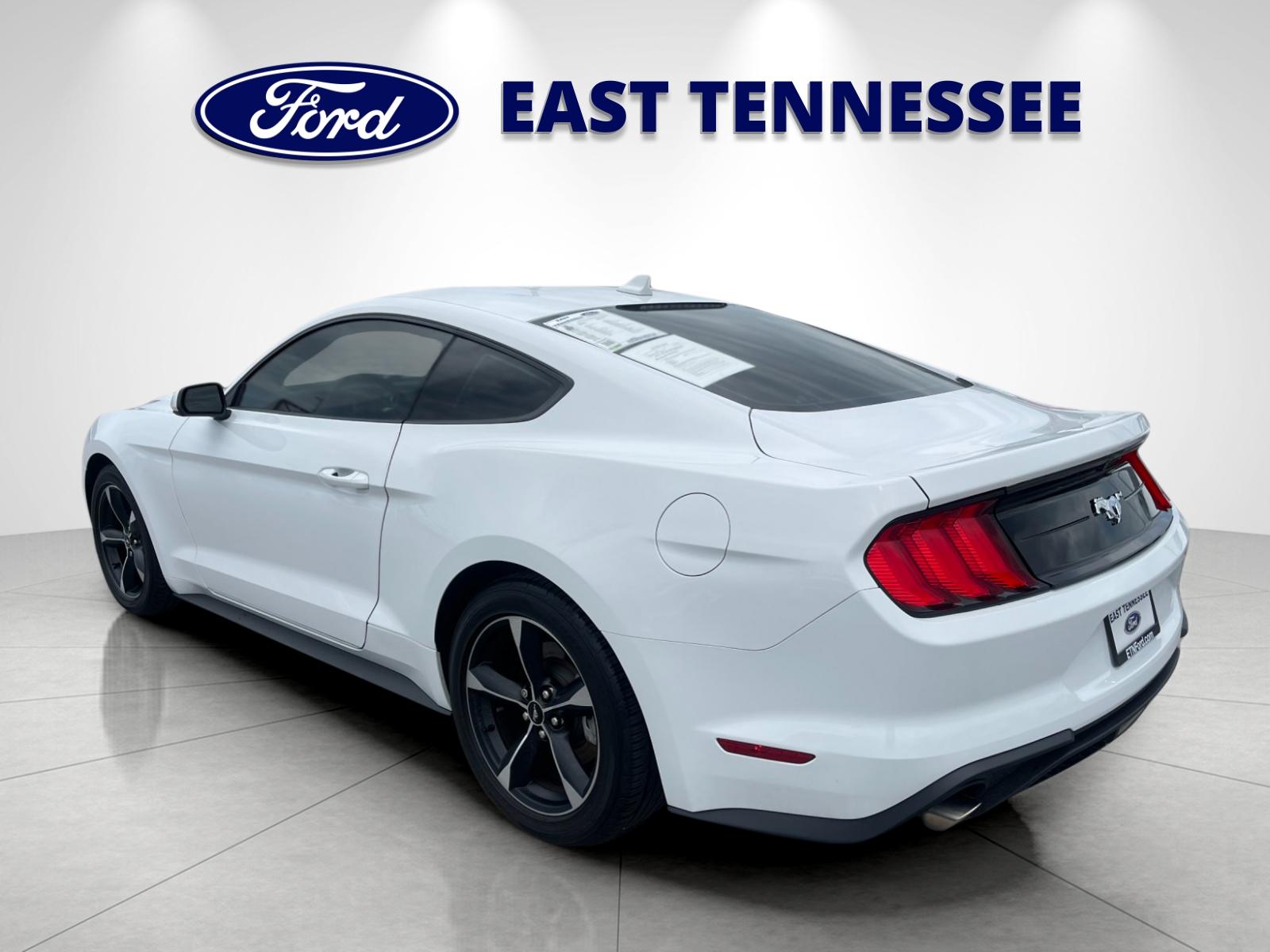 Used 2023 White Ford EcoBoost image 5