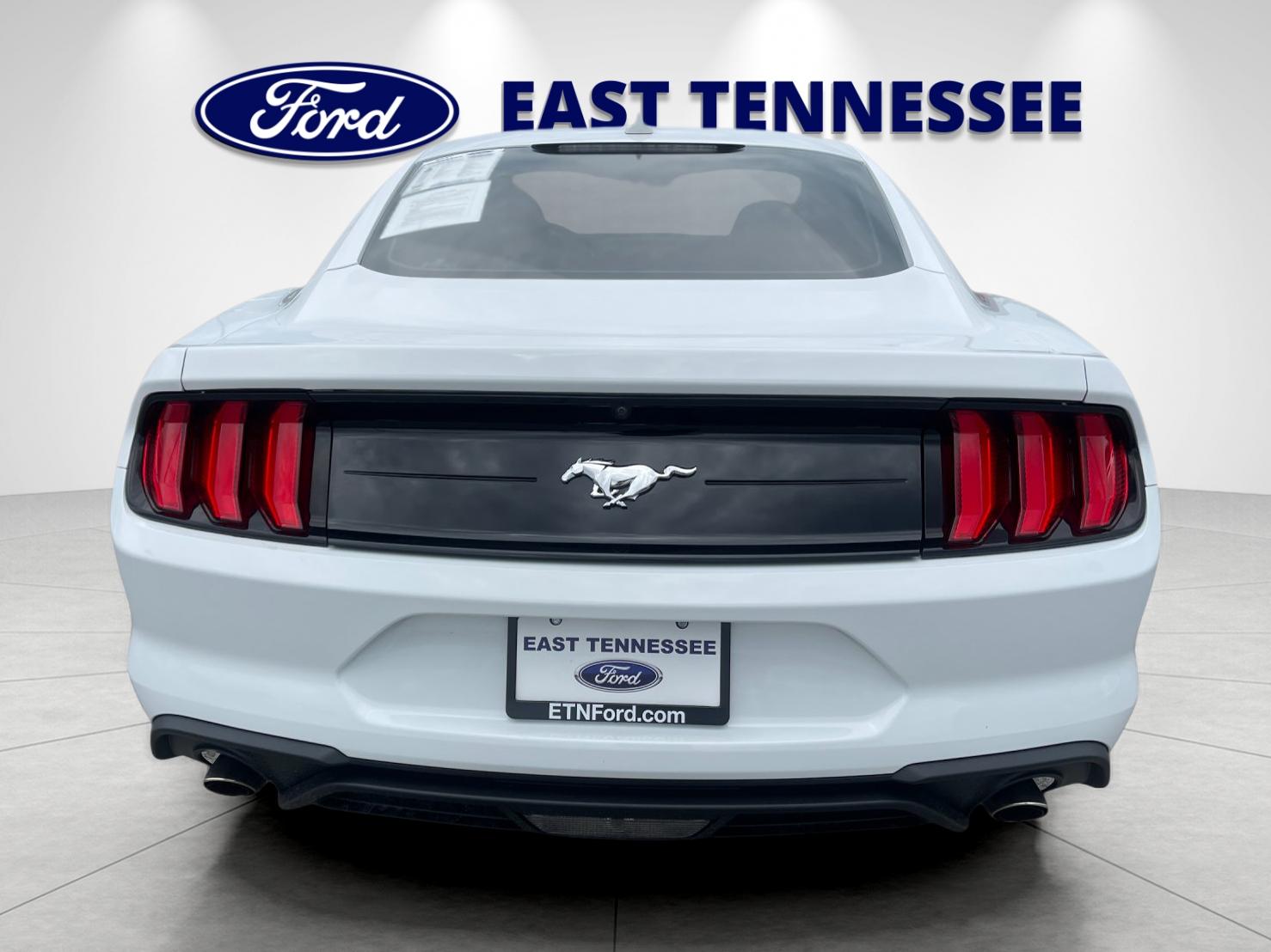Used 2023 White Ford EcoBoost image 4