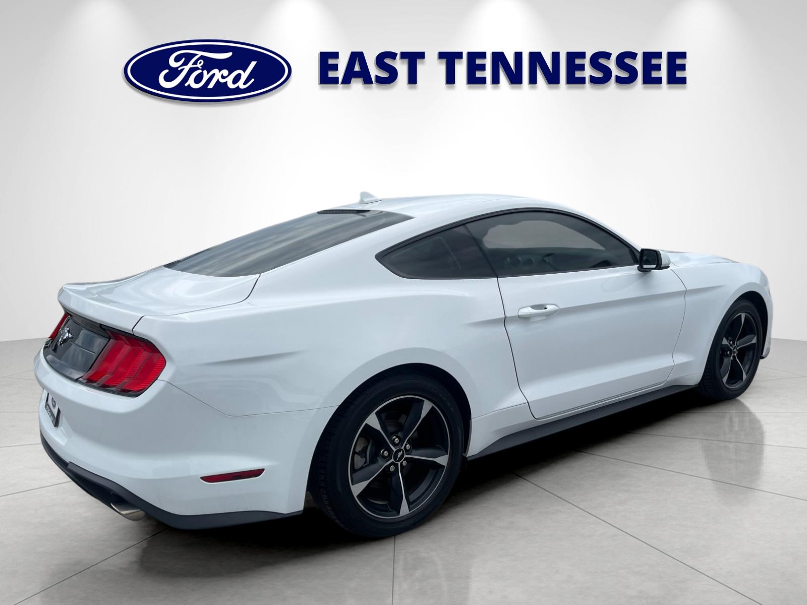Used 2023 White Ford EcoBoost image 3