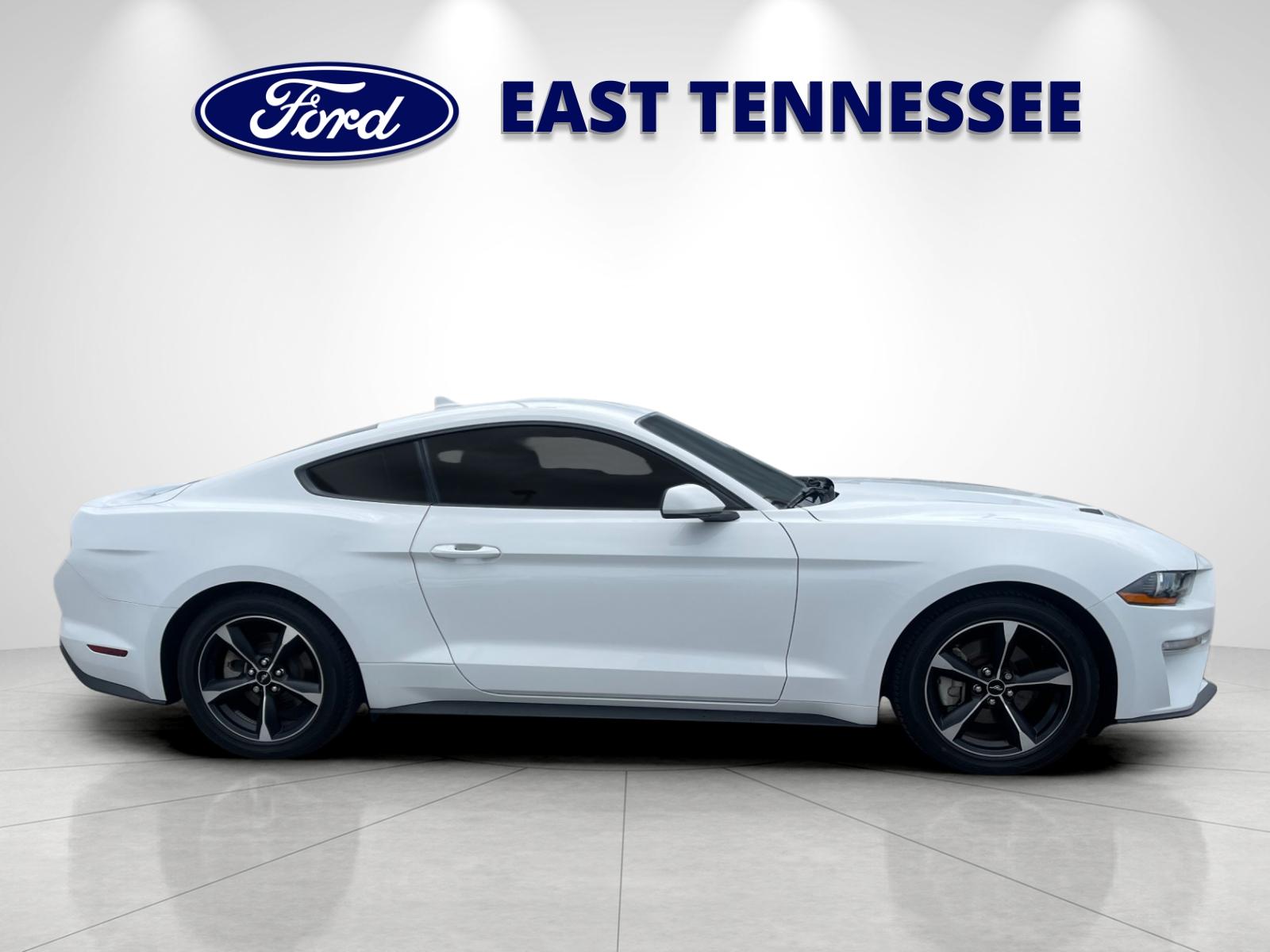 Used 2023 White Ford EcoBoost image 2