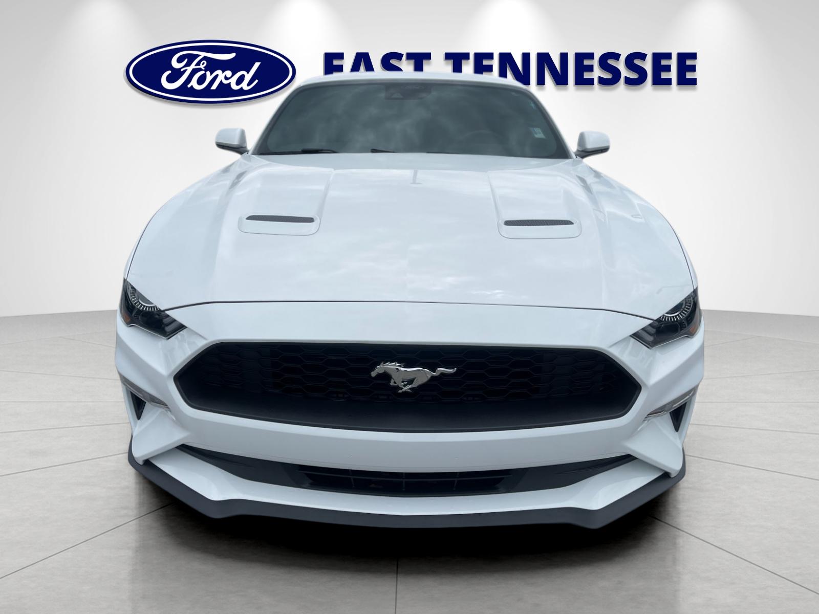 Used 2023 White Ford EcoBoost image 9