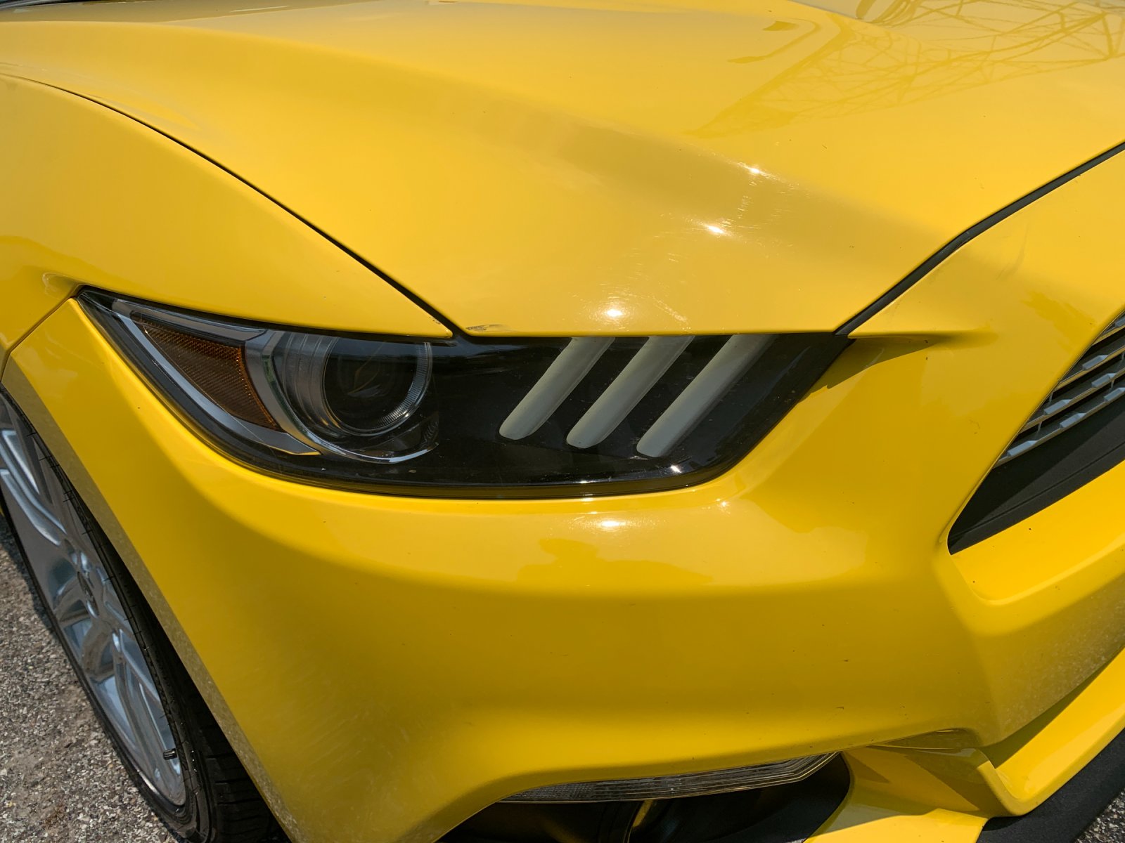 Used 2016 Yellow Ford EcoBoost Premium image 33