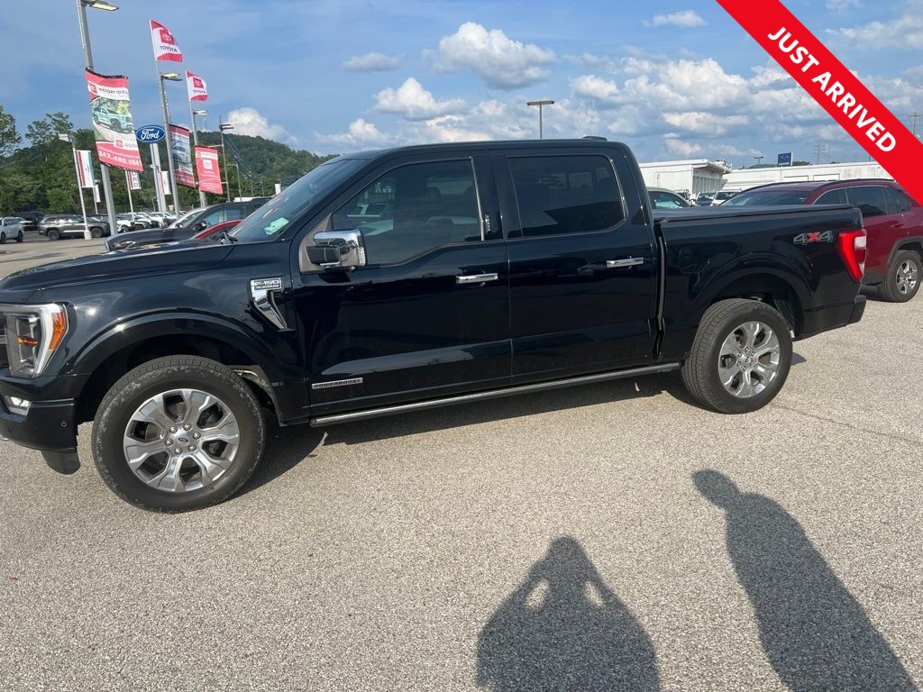 2021 Ford F-150 Platinum