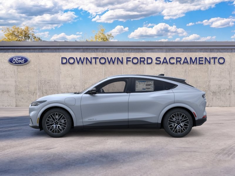 New 2026 Gray Metallic Ford Premium image 4