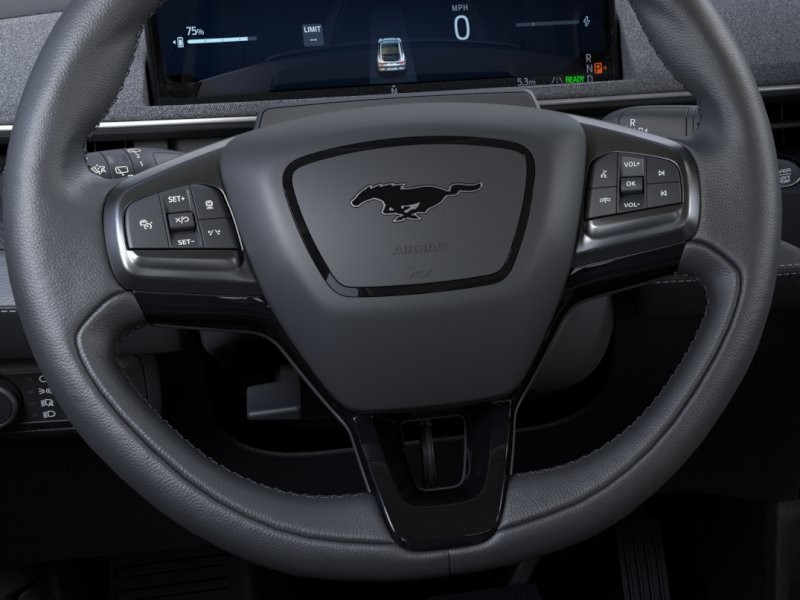 New 2026 Gray Metallic Ford Premium image 13