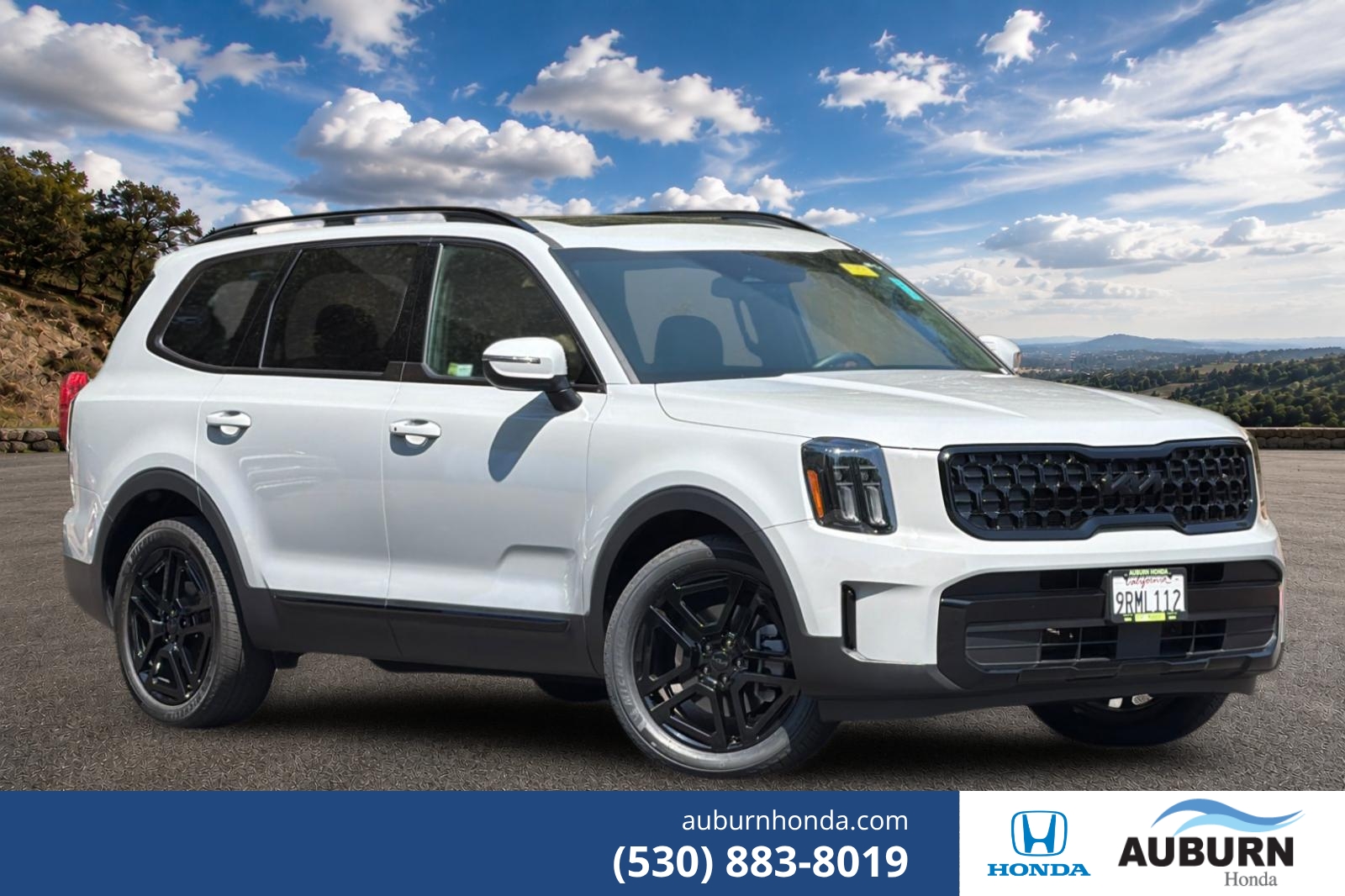2025 Kia Telluride