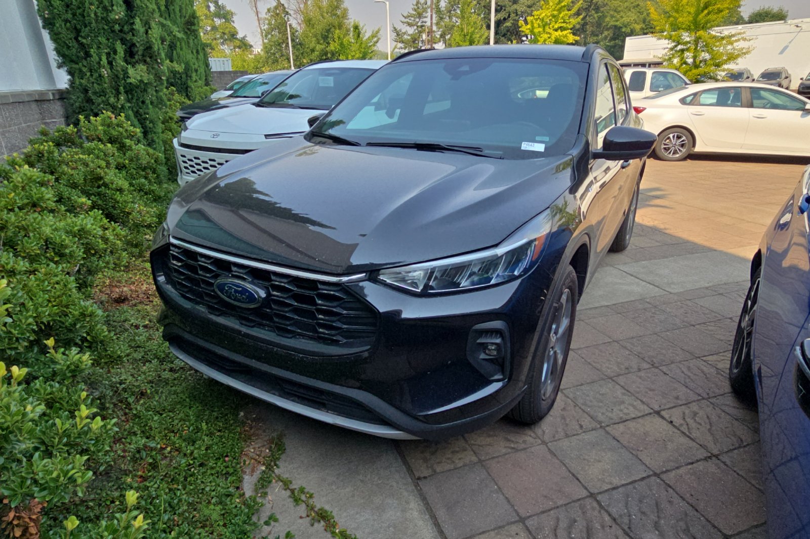 2025 Ford Escape ST-Line Select
