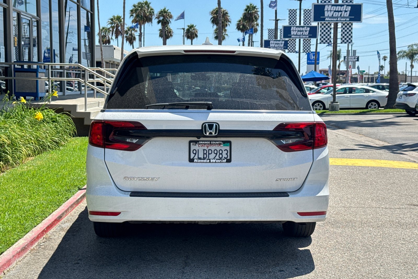 Certified Used 2024 Platinum White Pearl Honda Sport image 6