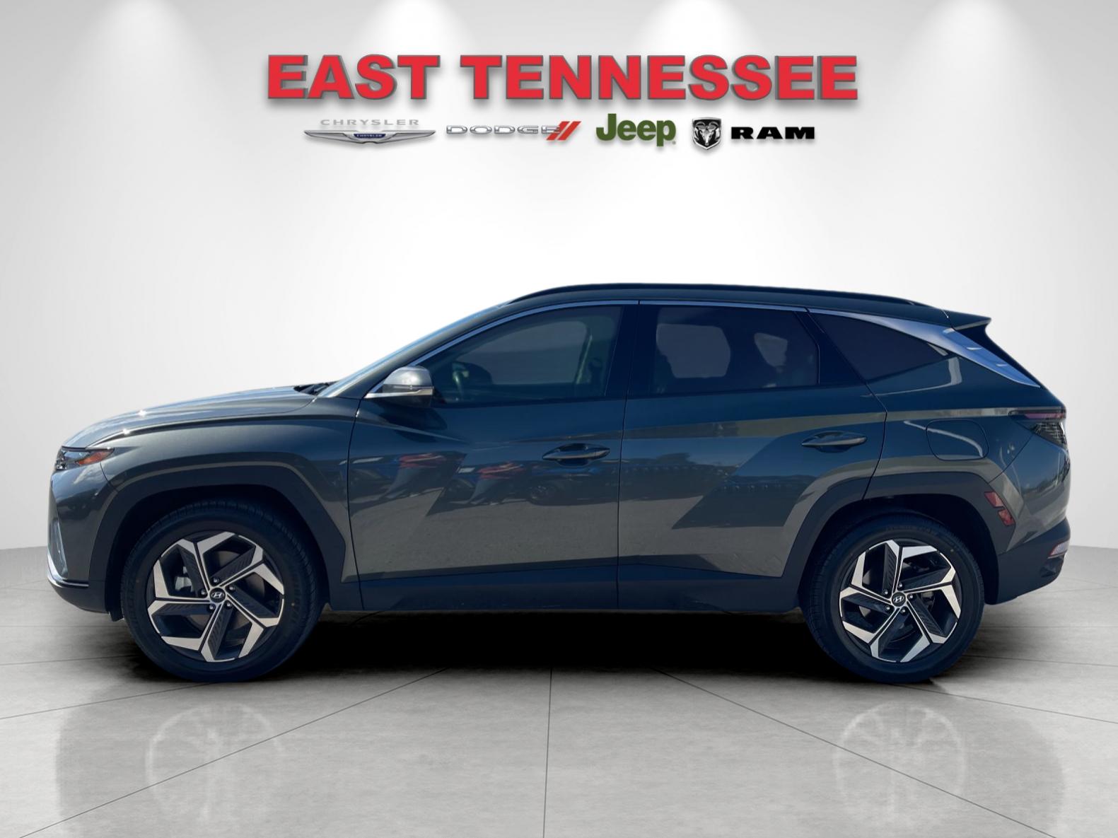 Used 2023 Gray Hyundai Limited image 6