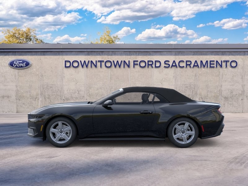 New 2026 Shadow Black Ford EcoBoost® Premium Convertible image 4