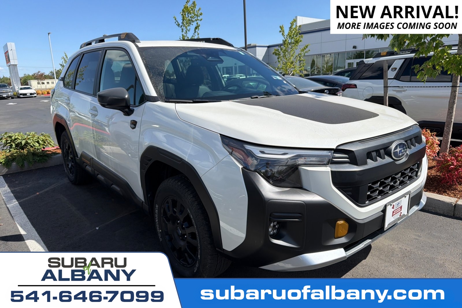 2026 Subaru Forester Wilderness