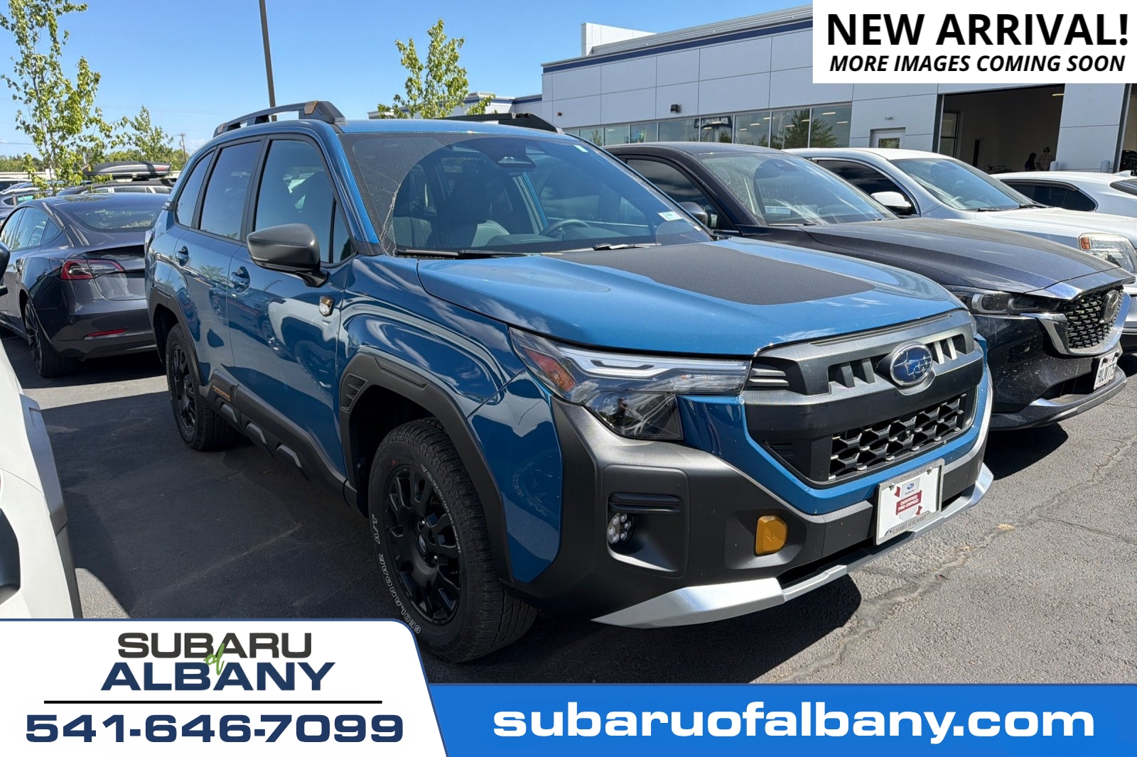 2026 Subaru Forester Wilderness