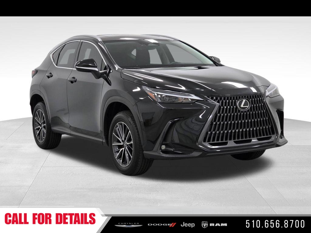 2024 Lexus NX