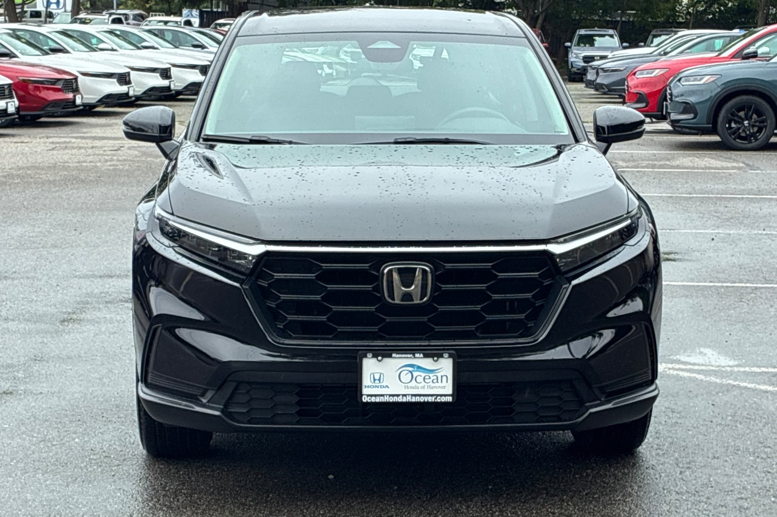 Used 2024 Crystal Black Pearl Honda LX image 2