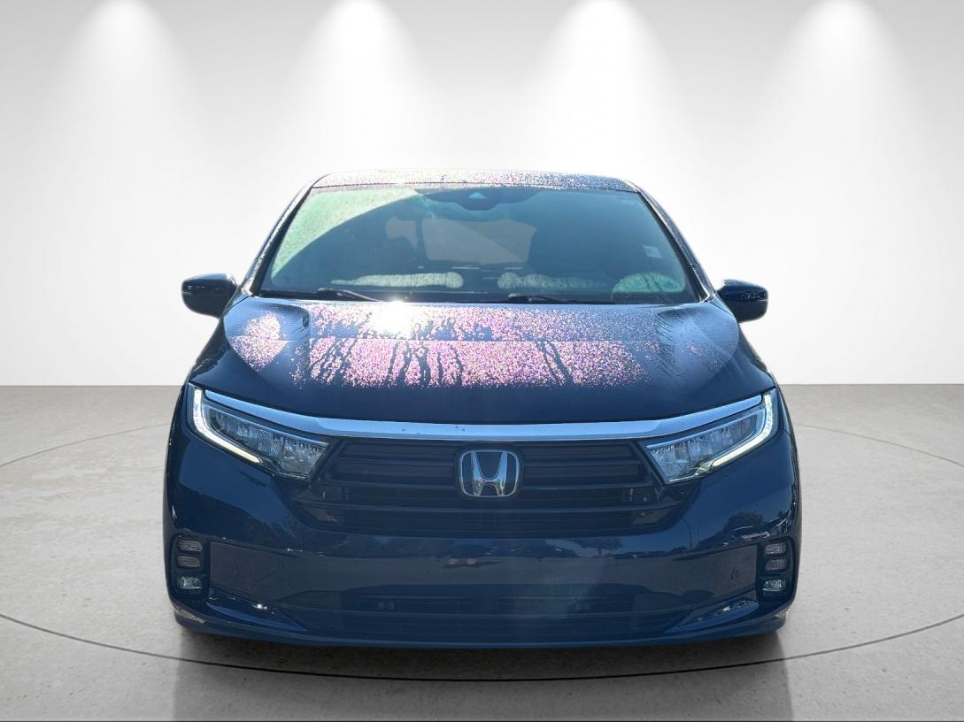Used 2022 Obsidian Blue Pearl Honda Elite image 8
