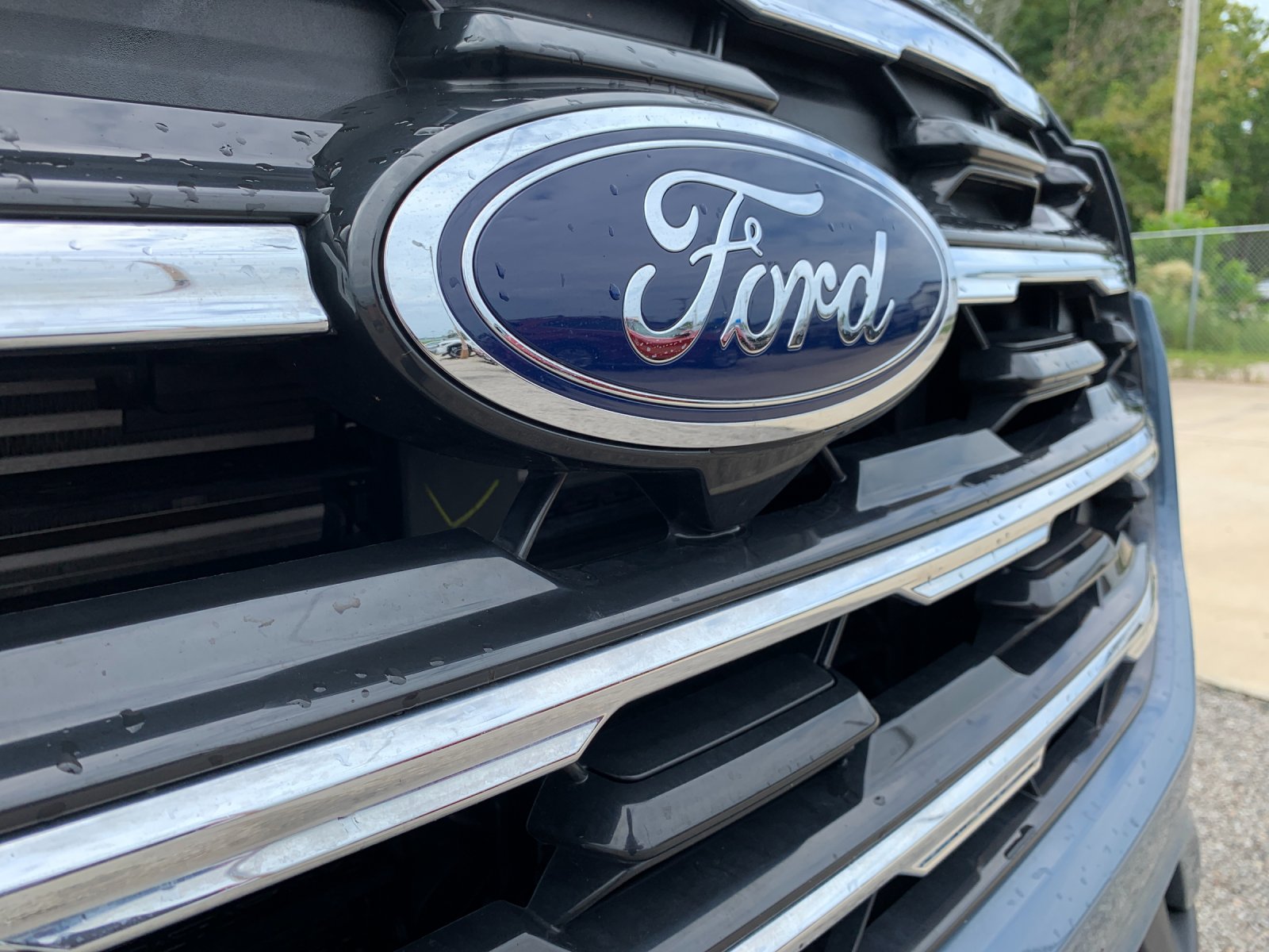 Used 2025 Blue Ford Active image 41