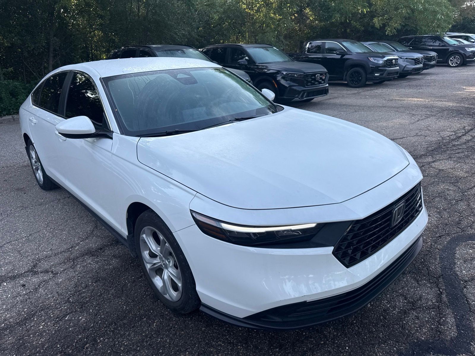 Certified Used 2024 Platinum White Pearl Honda LX image 4