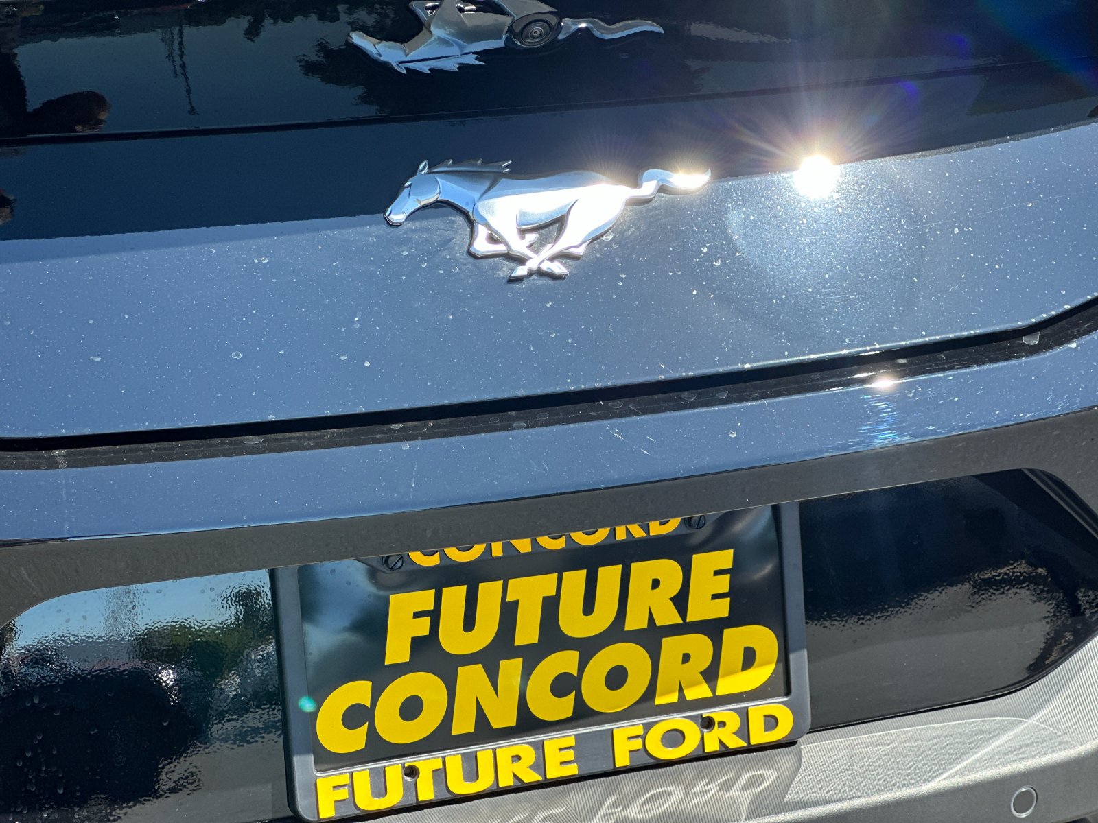 New 2026 Shadow Black Ford EcoBoost® Fastback image 24