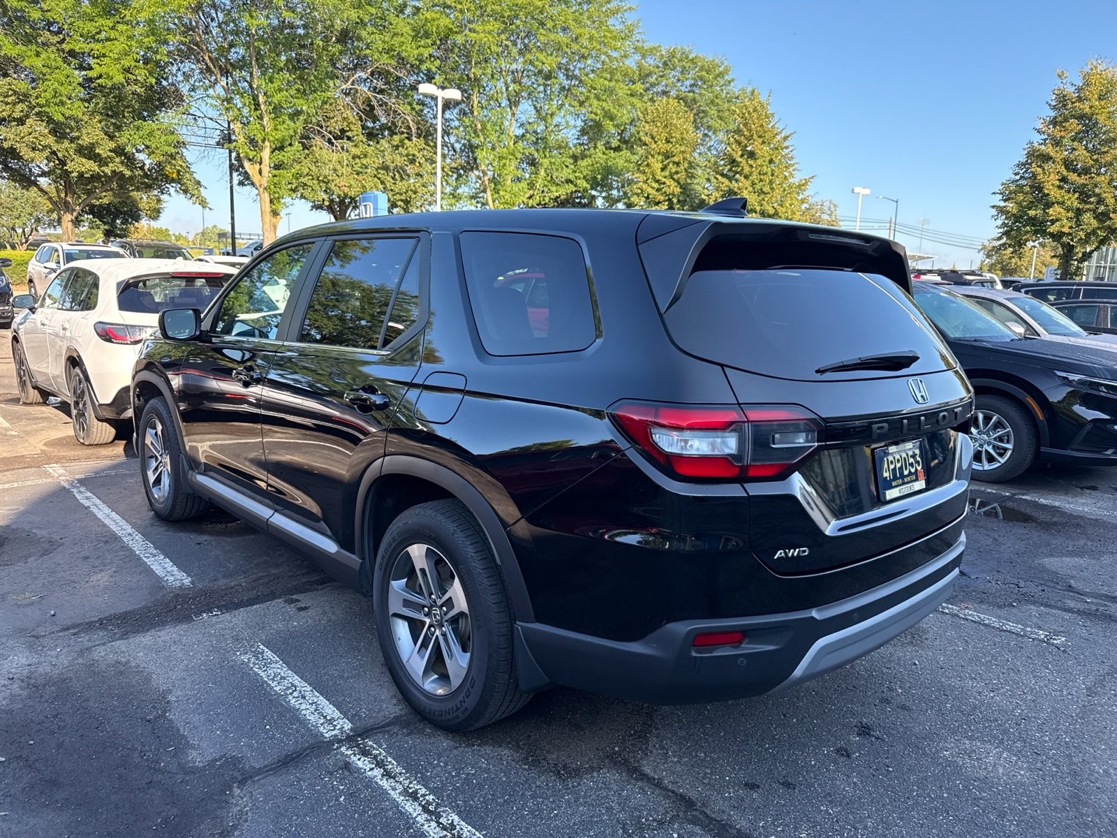 Used 2025 Crystal Black Pearl Honda EX-L image 5