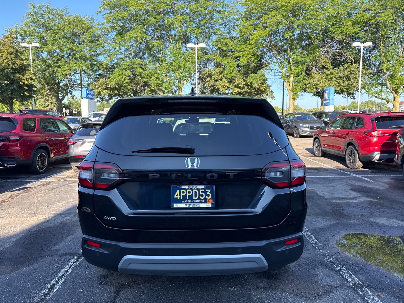 Used 2025 Crystal Black Pearl Honda EX-L image 6