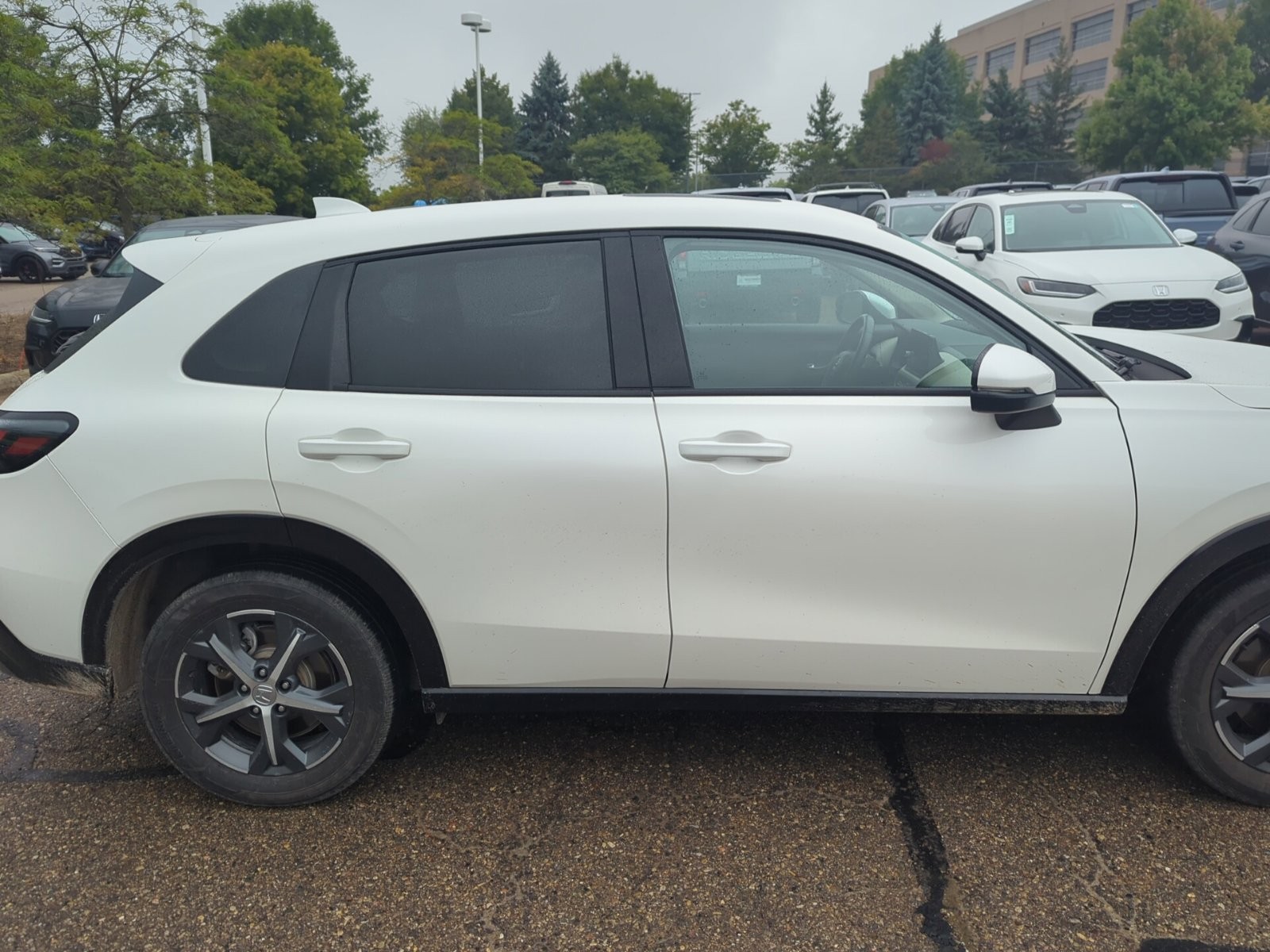 Used 2024 Platinum White Pearl Honda EX-L image 6