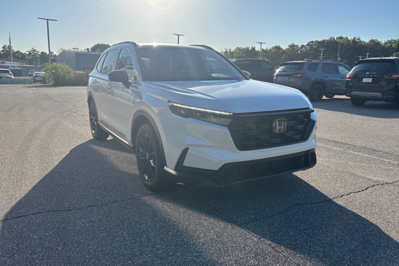 Certified Used 2025 White Honda Sport-L image 8