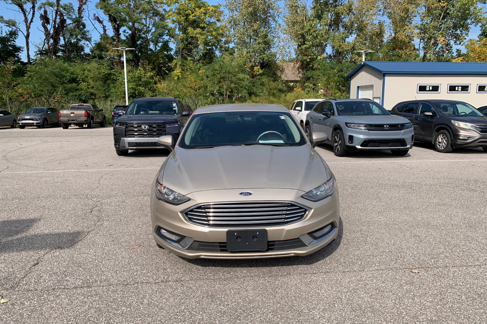 Used 2017 Gold Ford SE image 7