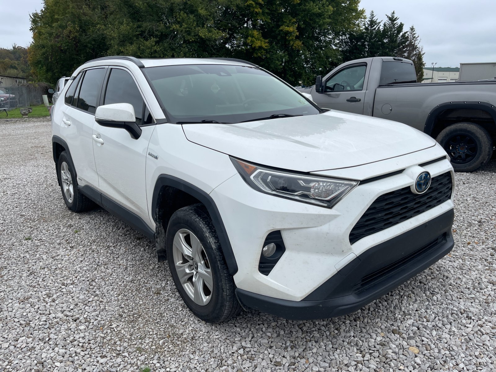 Used 2019 White Toyota XLE image 5