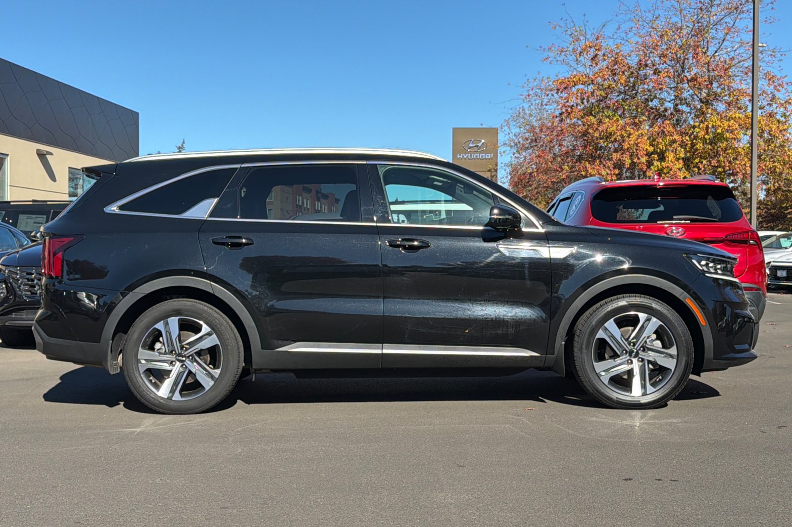 Used 2023 Black Kia SX Prestige image 3