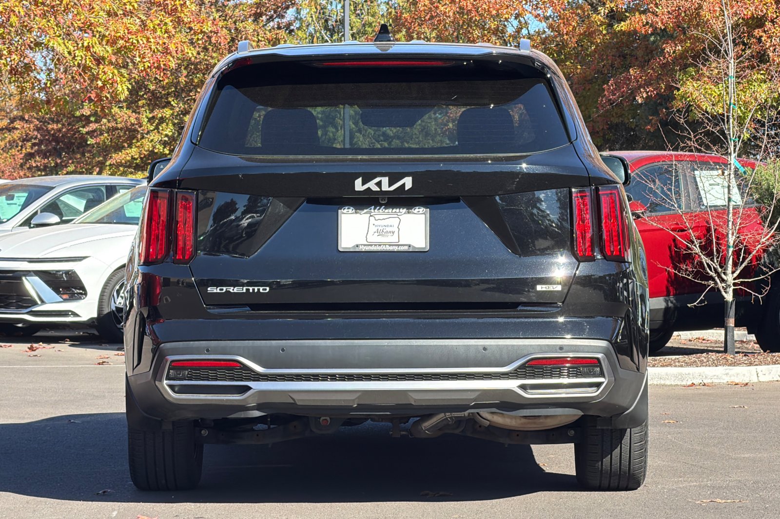 Used 2023 Black Kia SX Prestige image 5