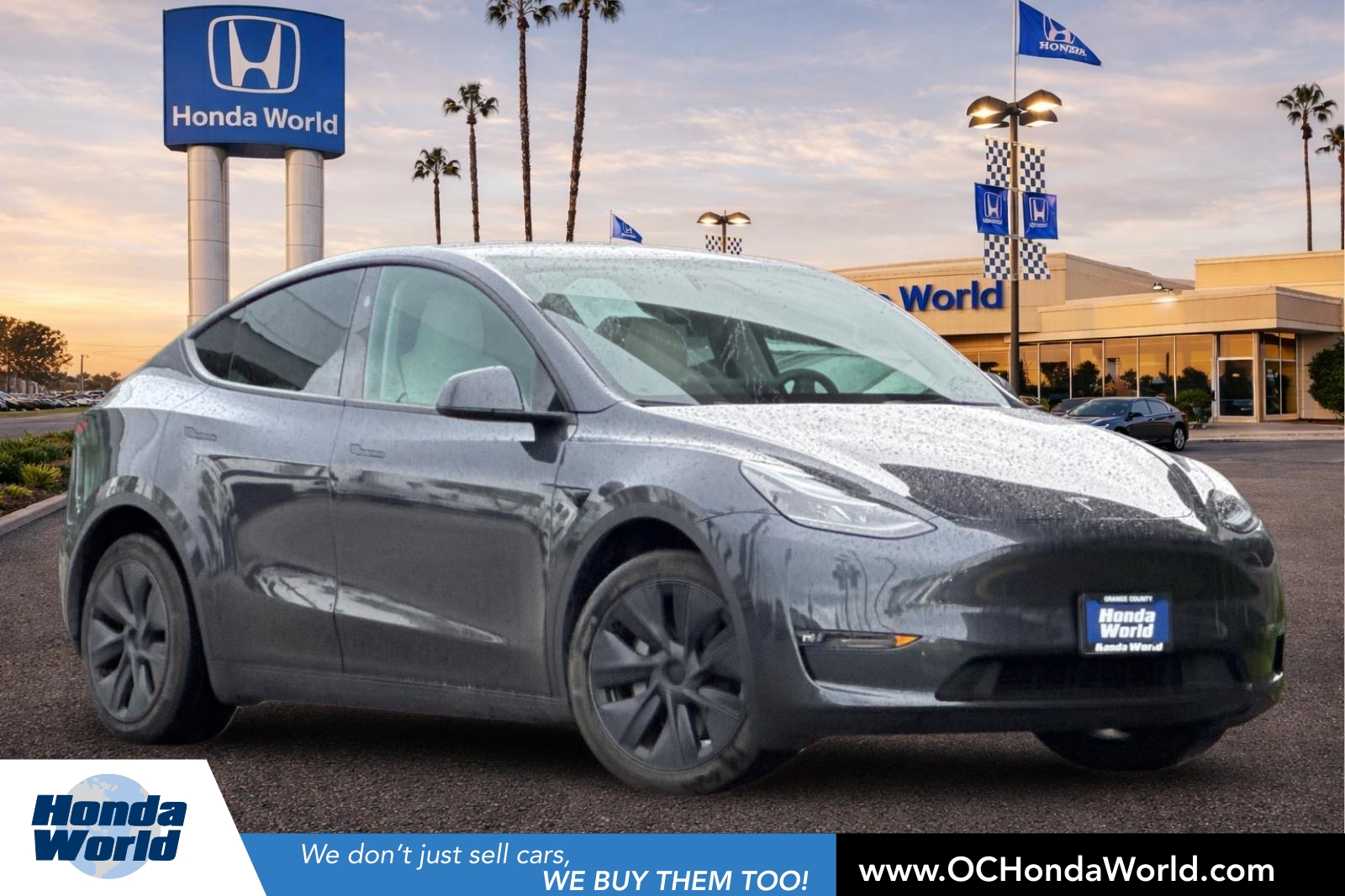 2024 Tesla Model Y