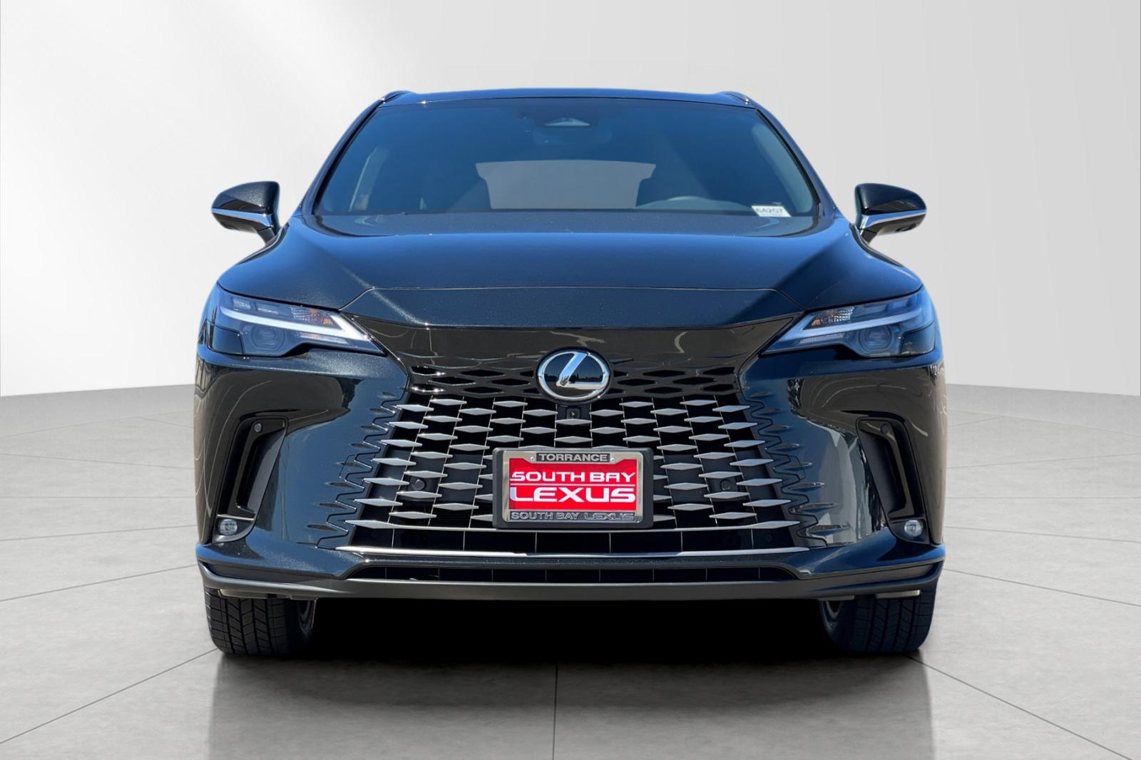 2025 Lexus RX 350 Premium photo 8