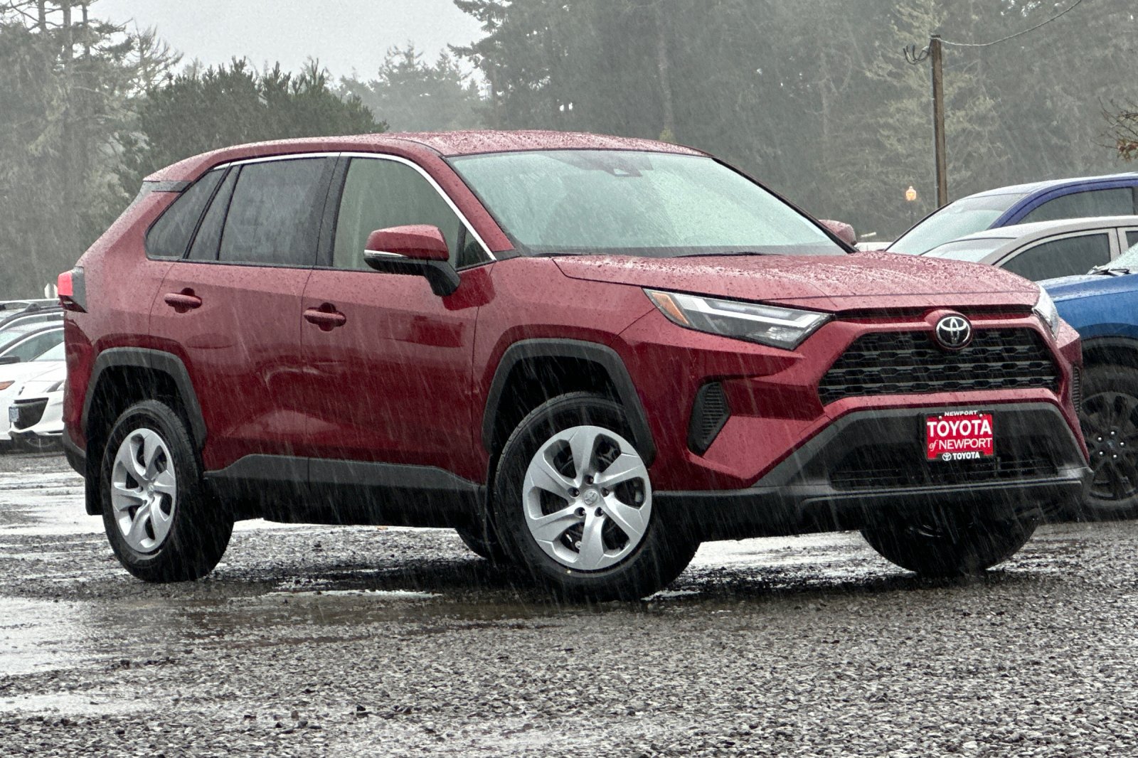 2025 Toyota RAV4 LE's photo