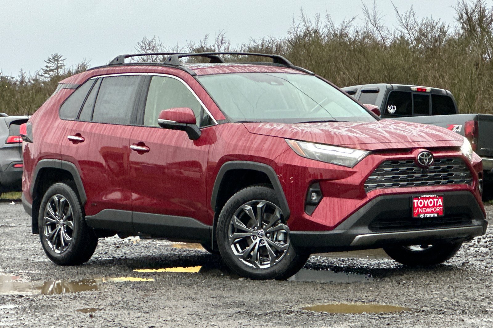 2025 Toyota RAV4 Limited's photo