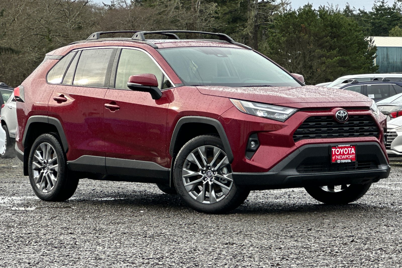 2025 Toyota RAV4 XLE Premium's photo